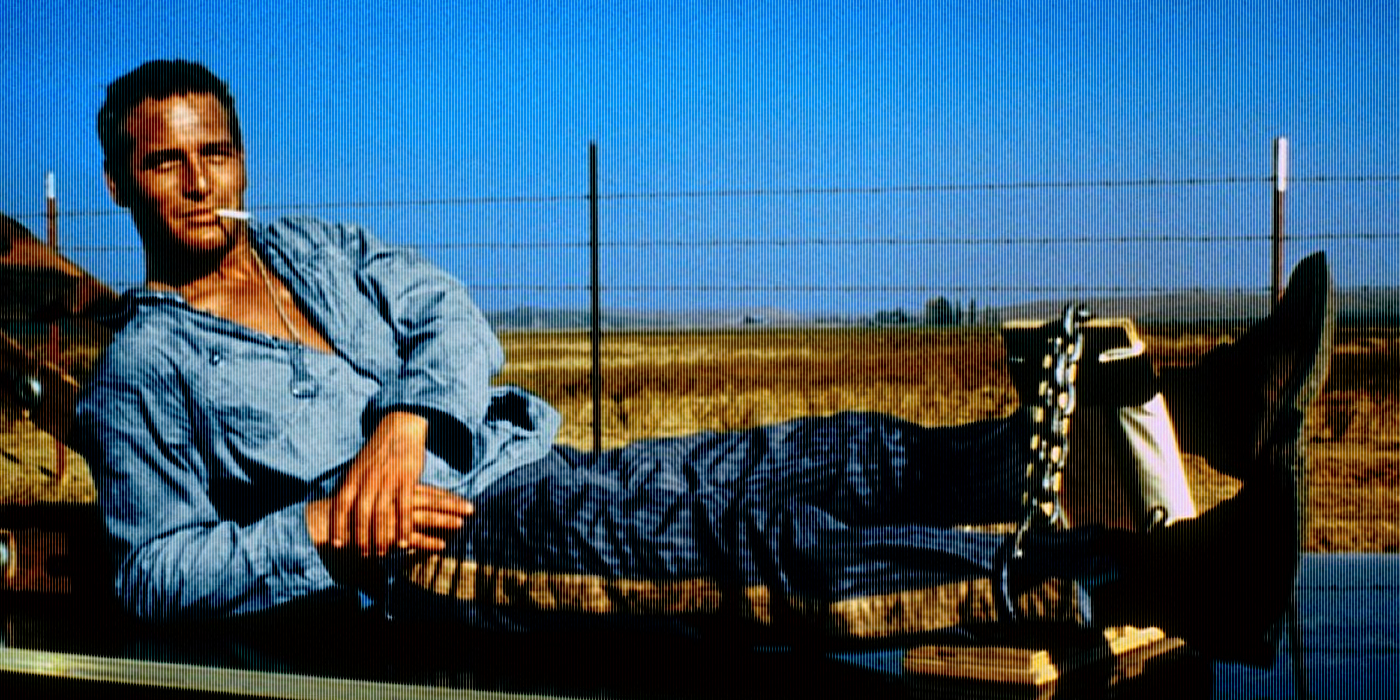 Cool Hand Luke